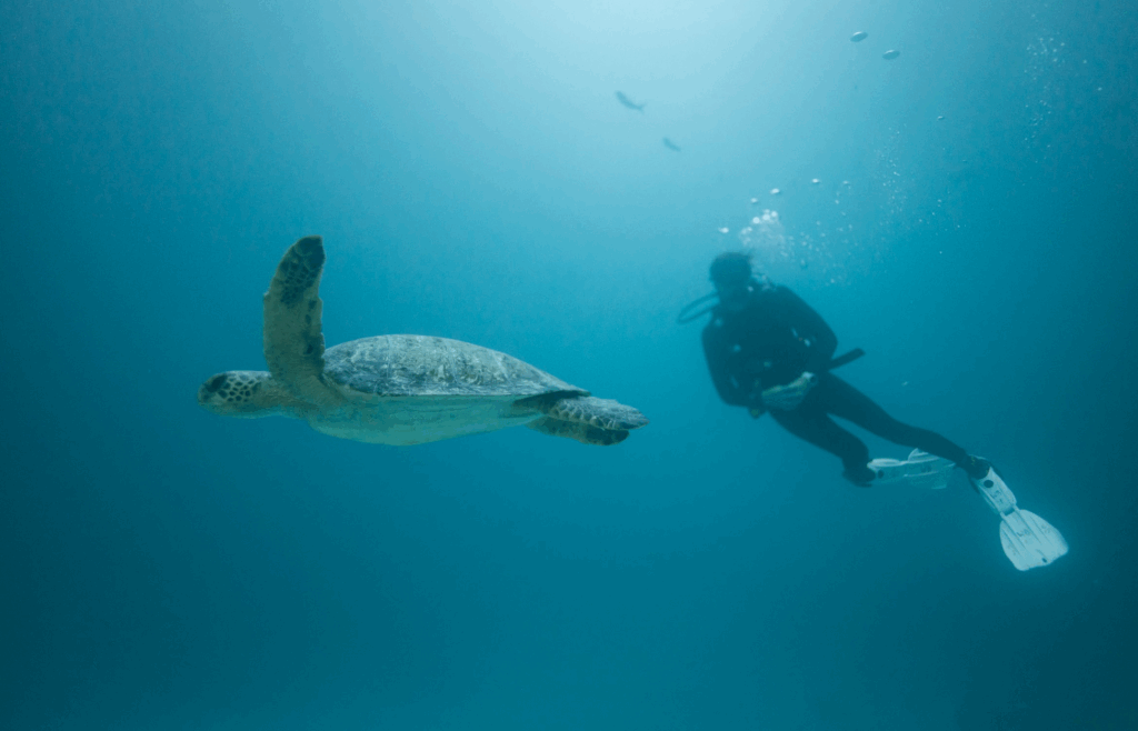 Galápagos